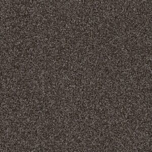 Dreamweaver Carpet Goosehill Coconut Shell Carpet 2828_922