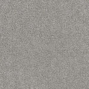 Dreamweaver Carpet Goosehill Chrome Carpet 2828_927