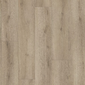 Shaw Homeward Cashmere Grey 2896V-01191