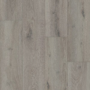 Shaw Homeward Tempest Grey 2896V-05239