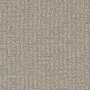 Dreamweaver Carpet Classic Elements Iced Latte Carpet 2935_2117