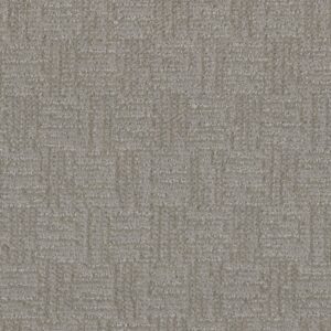 Dreamweaver Carpet Classic Elements Amazon Carpet 2935_4333