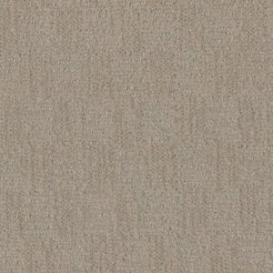 Dreamweaver Carpet Classic Elements Brunello Carpet 2935_4790
