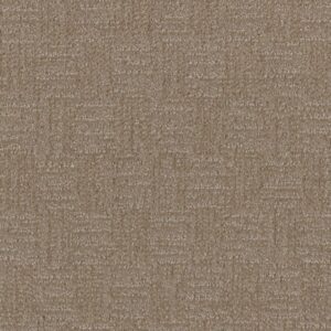 Dreamweaver Carpet Classic Elements Kingsport Carpet 2935_4838