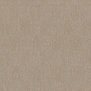 Dreamweaver Carpet Classic Elements Frosted Coconut Carpet 2935_4920