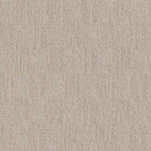Dreamweaver Carpet Classic Elements Vanilla Bean Carpet 2935_5047