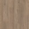Shaw Vinyl Paragon HD Plus NB Winthrop 05259_3038V