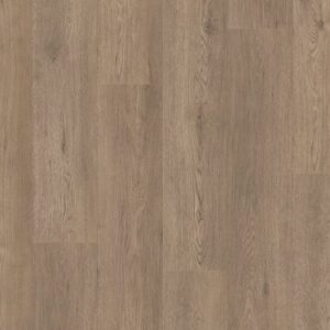 Shaw Vinyl Paragon HD Plus NB Winthrop 05259_3038V