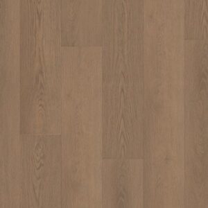 Shaw Vinyl Paragon HD Plus NB Rutledge 07353_3038V