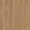 Shaw Vinyl Paragon HD Plus NB Davenport 07354_3038V - Image 2