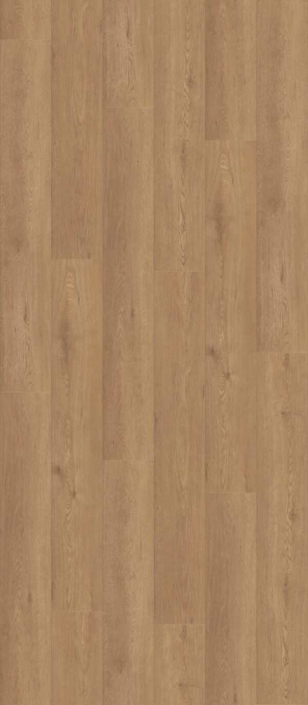 Shaw Vinyl Paragon HD Plus NB Davenport 07354_3038V - Image 2