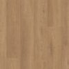 Shaw Vinyl Paragon HD Plus NB Davenport 07354_3038V