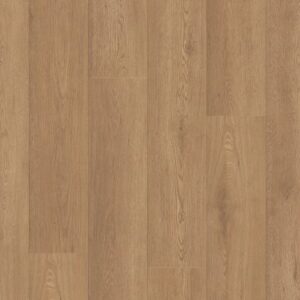 Shaw Vinyl Paragon HD Plus NB Davenport 07354_3038V