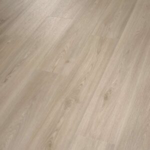 Shaw Glue-Down LVP Praxis Plank Morris 6"