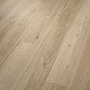 Shaw Glue-Down LVP Praxis Plank Expose 6"