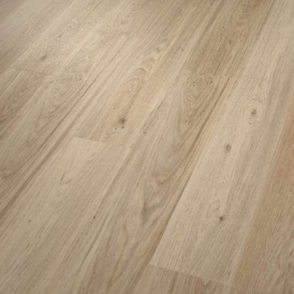 Shaw Glue-Down LVP Praxis Plank Expose 6"