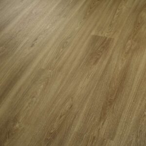 Shaw Glue-Down LVP Praxis Plank Theory 6"