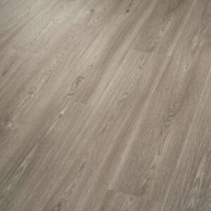 Shaw Glue-Down LVP Praxis Plank Muse 6"
