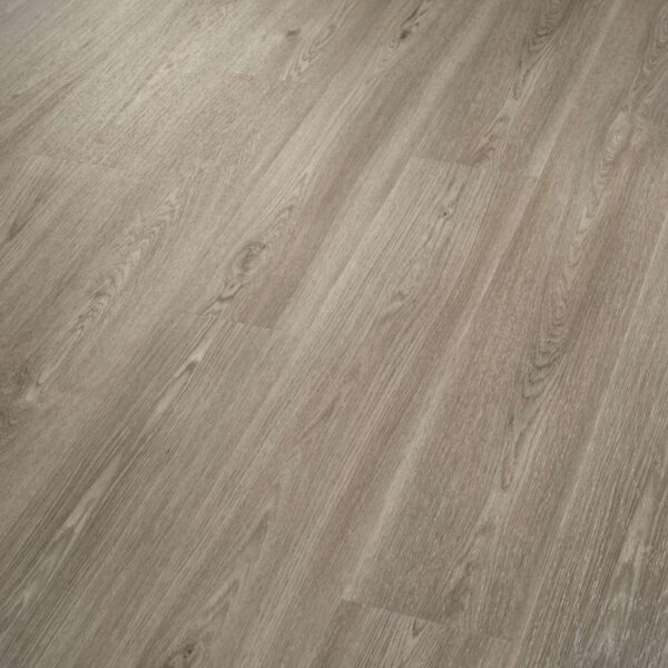 Shaw Glue-Down LVP Praxis Plank Muse 6"