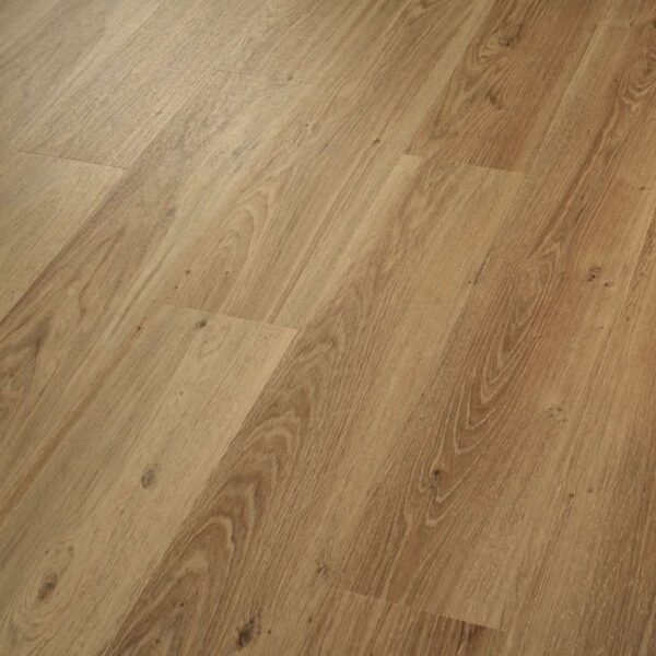 Shaw Glue-Down LVP Praxis Plank Craftsman 6"