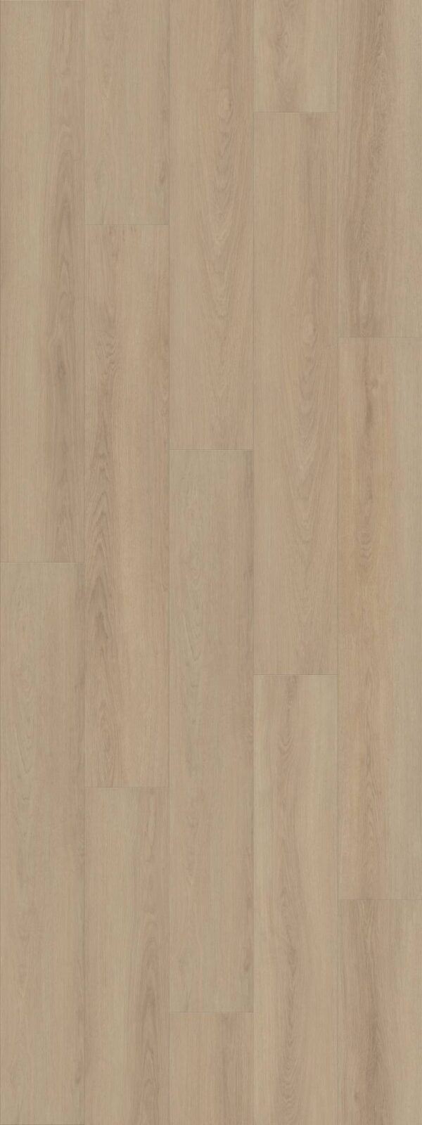 Shaw Vinyl Dwell Cozy Taupe 02105_3080V - Image 2