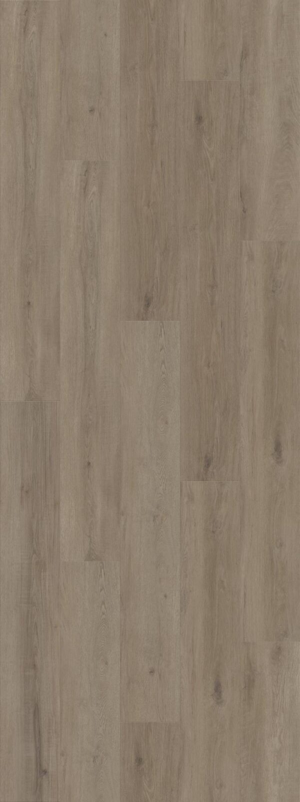 Shaw Vinyl Dwell Truffle 05235_3080V - Image 2