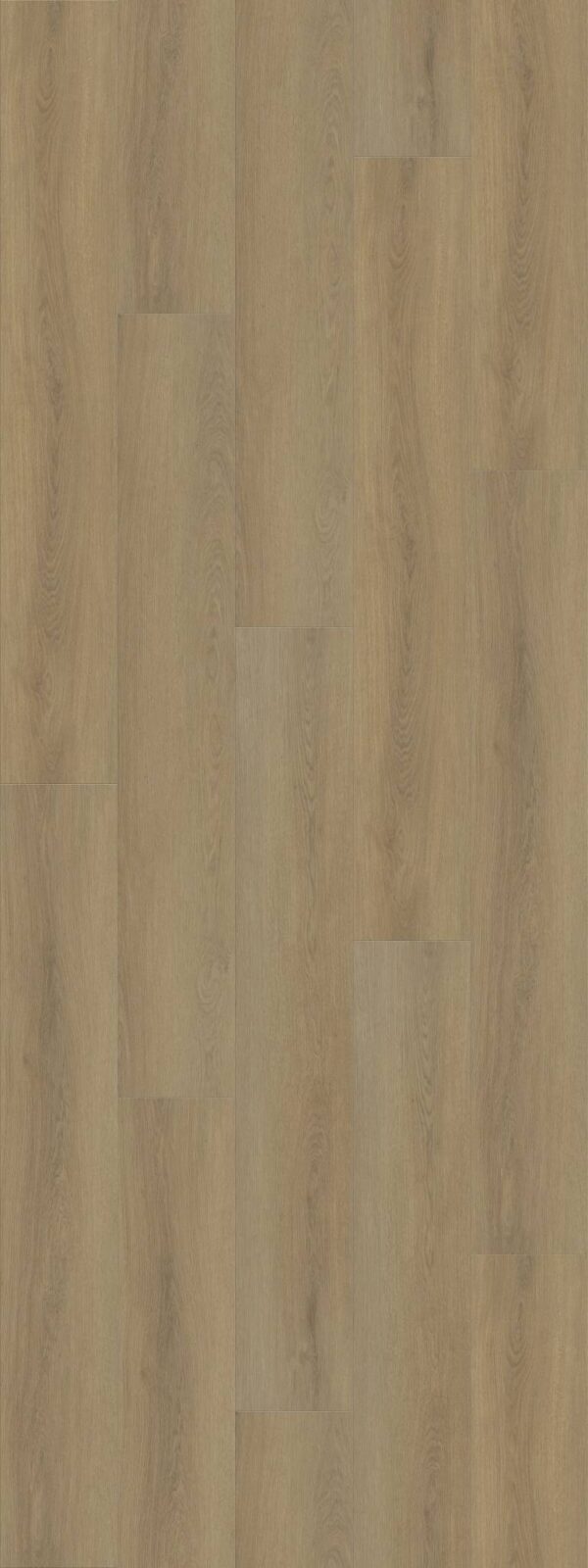 Shaw Vinyl Dwell Nutmeg 07325_3080V - Image 2