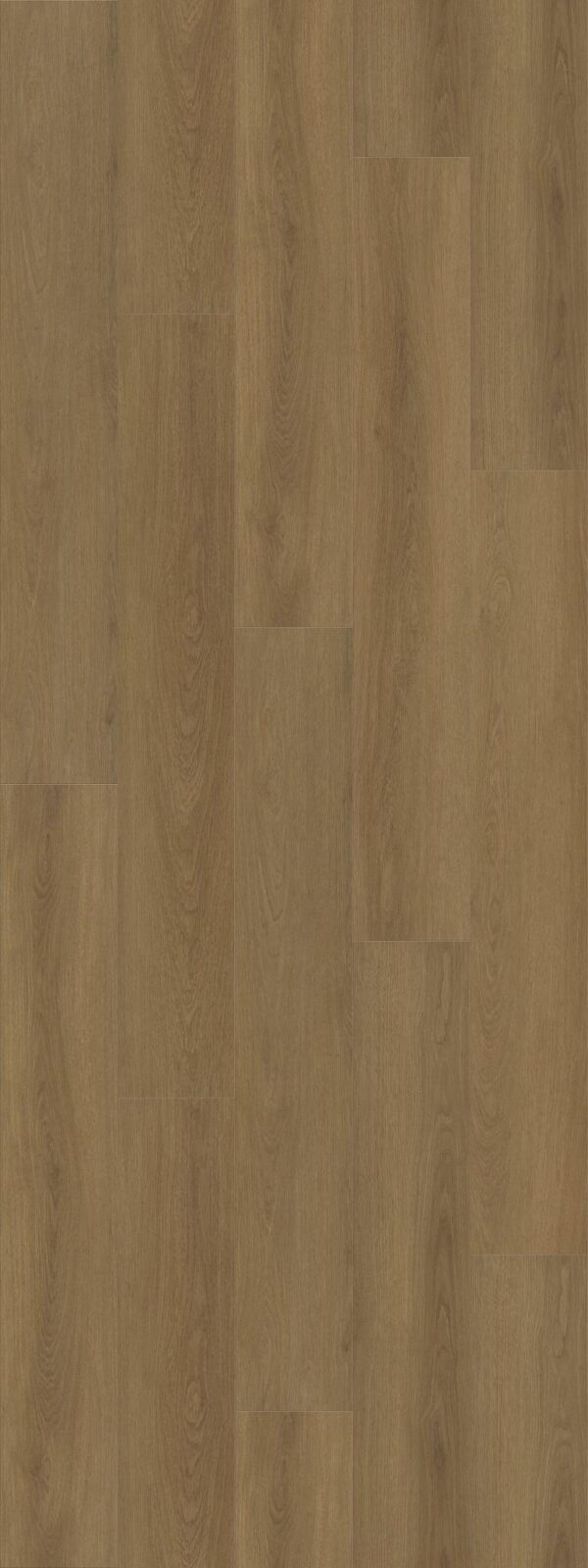 Shaw Vinyl Dwell Rich Cocoa 07328_3080V - Image 2