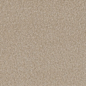 Dreamweaver Carpet Broadcast Plus Cameo Carpet 3125_174