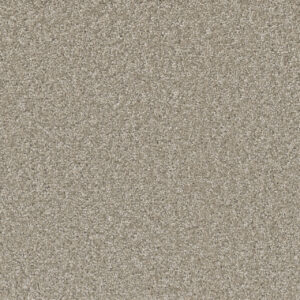 Dreamweaver Carpet Broadcast Plus Clam Shell Carpet 3125_182