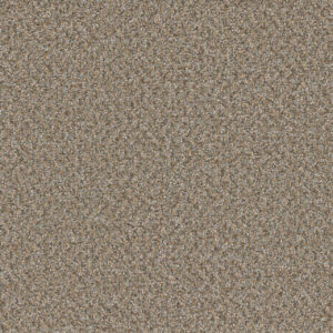 Dreamweaver Carpet Broadcast Plus Siesta Carpet 3125_2068