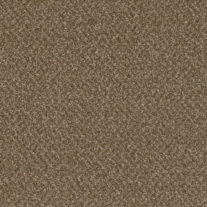 Dreamweaver Carpet Broadcast Plus Mocha Beige Carpet 3125_2351