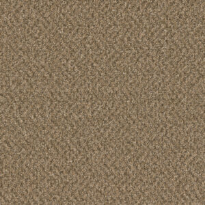 Dreamweaver Carpet Broadcast Plus Aged Leather Carpet 3125_2418
