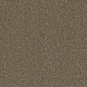 Dreamweaver Carpet Broadcast Plus Rustic Glam Carpet 3125_2515