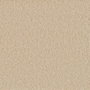 Dreamweaver Carpet Broadcast Plus Classic Ivory Carpet 3125_4193