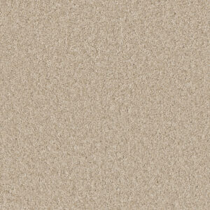 Dreamweaver Carpet Broadcast Plus Light Bisque Carpet 3125_4484