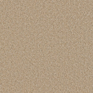 Dreamweaver Carpet Broadcast Plus Frosted Clay Carpet 3125_4522