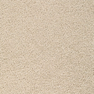 Dreamweaver Carpet Broadcast Plus Cookie Dough Carpet 3125_705