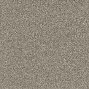 Dreamweaver Carpet Broadcast Plus Chrome Carpet 3125_927