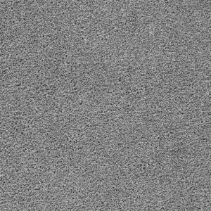 Dreamweaver Carpet Broadcast Plus Bayside Carpet 3125_956