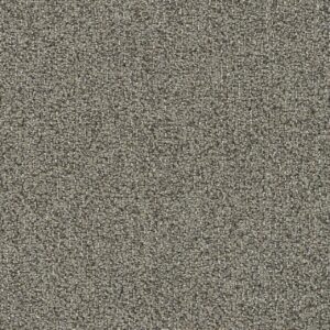 Dreamweaver Carpet Meteoric Magnetic Carpet 3237_2192