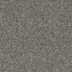 Dreamweaver Carpet Meteoric Capricorn Carpet 3237_2270