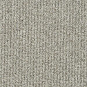 Dreamweaver Carpet Meteoric Spectral Carpet 3237_2769