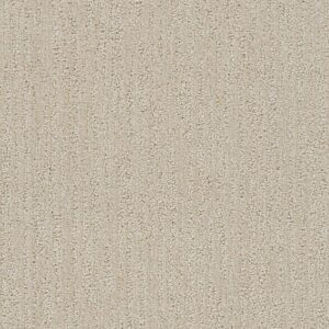 Dreamweaver Carpet Venetian Frosted Coconut Carpet 3335_4920