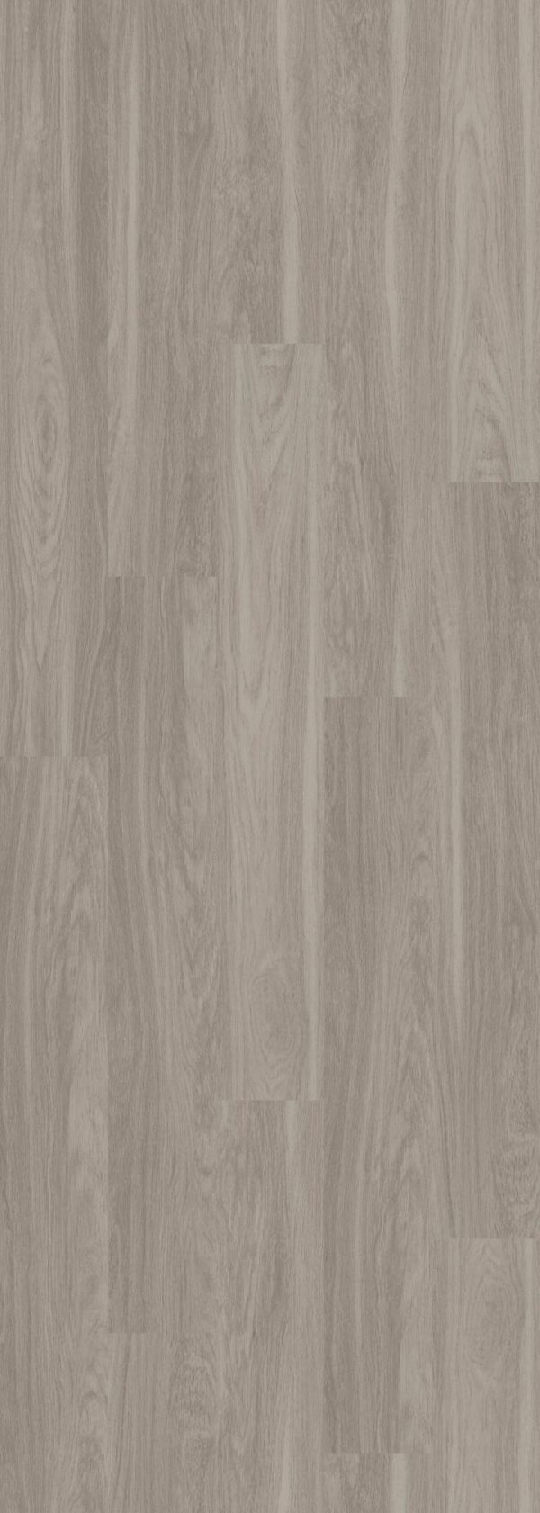 Shaw Vinyl Infinite 20 Shadow 00520_3349V - Image 2