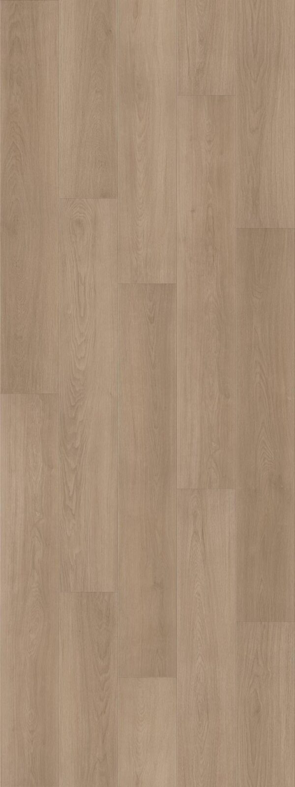 Shaw Vinyl FRESH TAKE Bentwood Tan 02124_3415V - Image 2