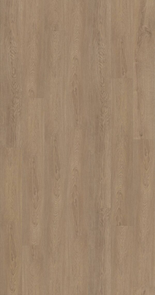Shaw Vinyl FRESH TAKE Wingback Brown 07302_3415V - Image 2