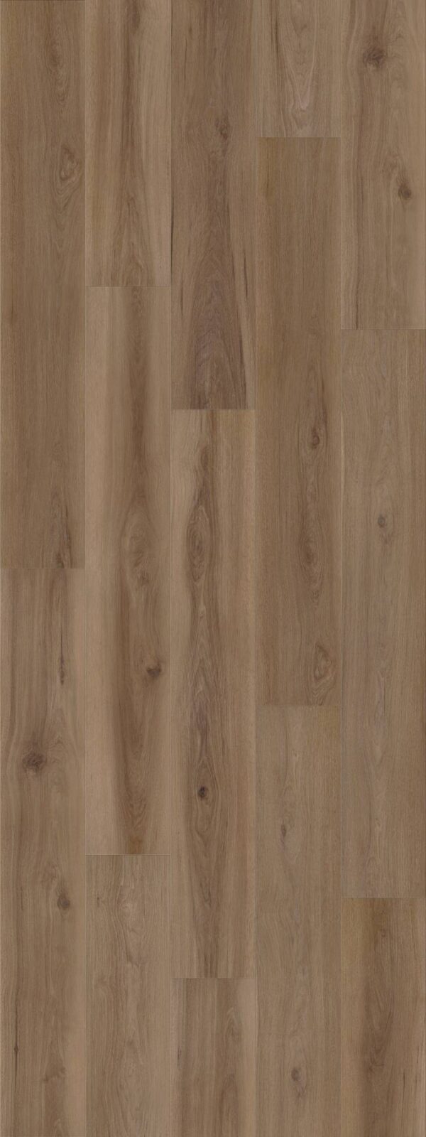 Shaw Vinyl FRESH TAKE Windsor Brown 07347_3415V - Image 2