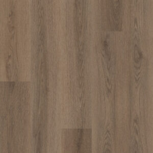 Shaw Homebound Mocha 3430V-07358