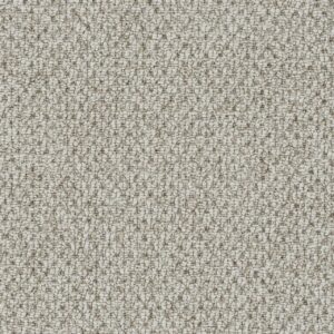 Dreamweaver Carpet Kosmo Goose Down Carpet 3538_4665